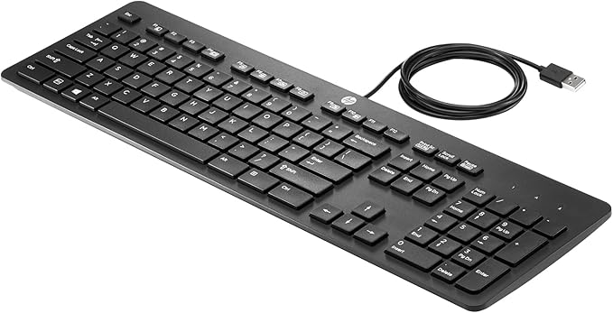 CLAVIER HP USB